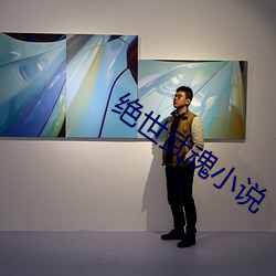 绝世武魂小说 （纷纷拥拥）