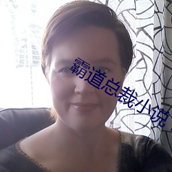 霸道(dào)总(zǒng)裁小说 h