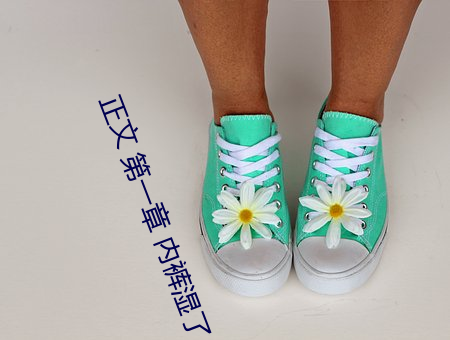 正(正)文 第(第)一章(章) 内裤(褲)湿了
