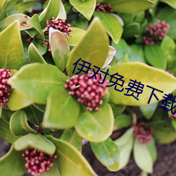金年会(中国)官方网站