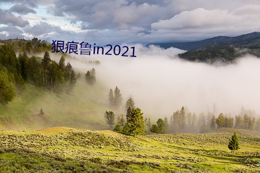 狠(狠)痕(痕)鲁(魯)in2021