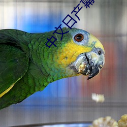 中(zh��ng)文(wén)日产幕无线码一去不用网(wǎng):随时随地(d��)使用互联(lián)网(wǎng)