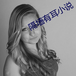 隔墙有耳小说(shu)