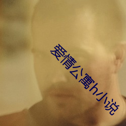 爱情公寓h小说