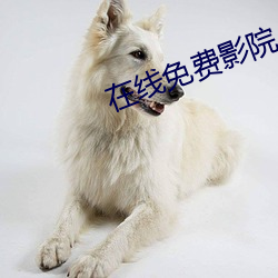在线免(miǎn)费影院