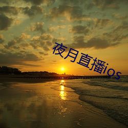 夜月直(zhí)播ios