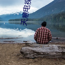 天意電視劇免費完整版穿越