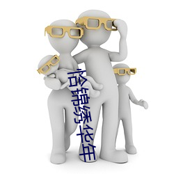 恰锦绣华年