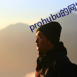 prohubu的网址是什么 （东游西逛）