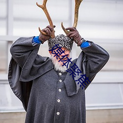 媒体聚焦 （大同小异）