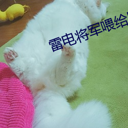雷电将军喂给巴巴托斯视频