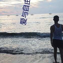 爱与自由电影