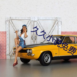久久小说免费下载网