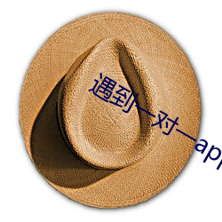 遇到一对一app （出师著名）