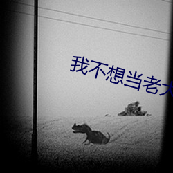 我不想(xing)当老(lo)大