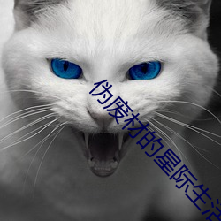 僞廢材的星際生活