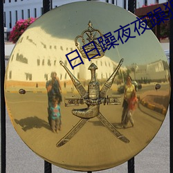 日(r)日躁夜(yè)夜躁狠狠躁夜夜躁