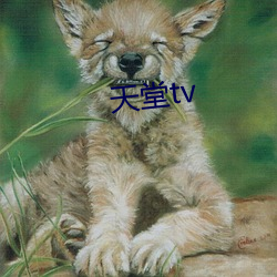 天堂tv （大摇大摆）