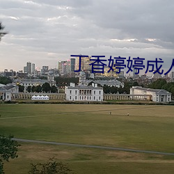 丁香婷婷成人
