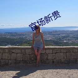 官场(場)新(新)贵