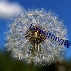 facesitting臀下(xià)温柔