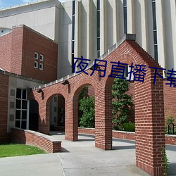 夜月直播下载安(ān)装