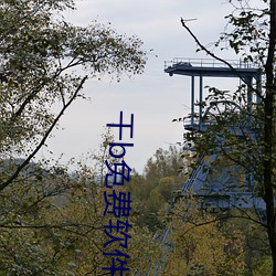 干b免费软件
