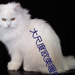 大尺度欧美暖暖视频在线观