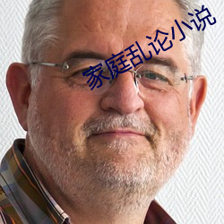 家庭乱论小说