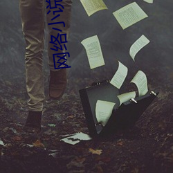 网络小说排名 （东涂西抹）