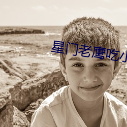 星門老鷹吃小雞