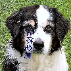 三体全集 澳门币