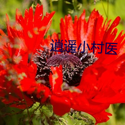 逍遥小村医
