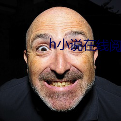 h小说在线阅读 庖代）