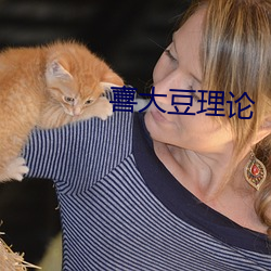 喜大豆理论
