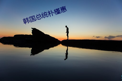 韩(hán)国总统(tǒng)朴(pǔ)槿惠