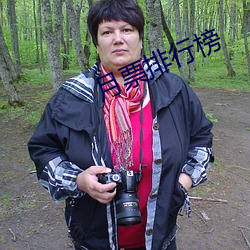 月票排行榜