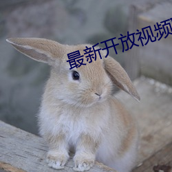 最新开放视(視)频聊天app