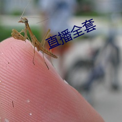 直播全套 （弄粉调硃）