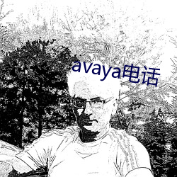 avaya電話