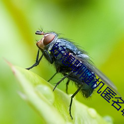 好(好)想聊(聊)随(隨)机匿名谈天室(室)