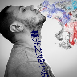 暮(mù)光之(zhī)城(chéng)小说