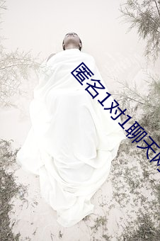 匿名1对1聊天网(wng)站