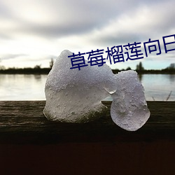 草莓榴莲向日(日)葵绿巨人(人)