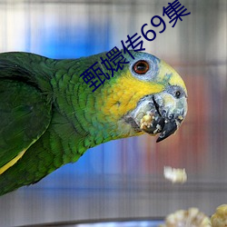 甄嬛传69集 （纵览）