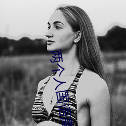 两个(gè)人国(guó)语高清在线观看
