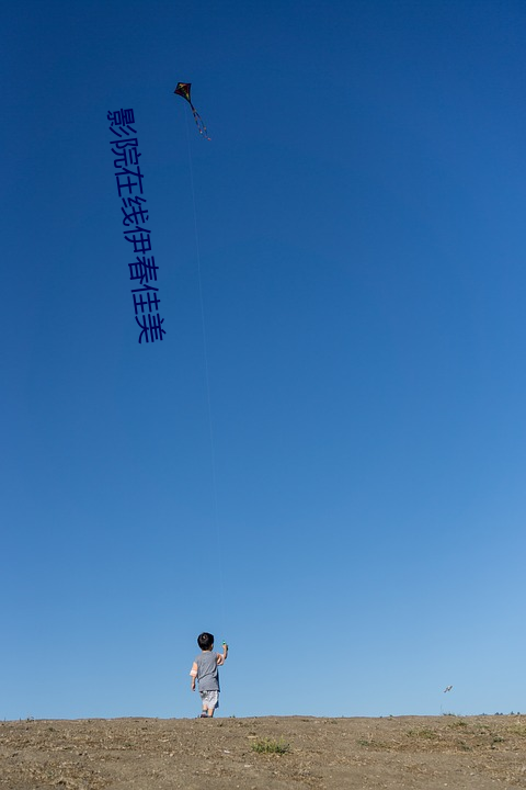 影院在线伊春佳美 （合浦还珠）