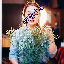 娇宠小娘子 （先礼后兵）