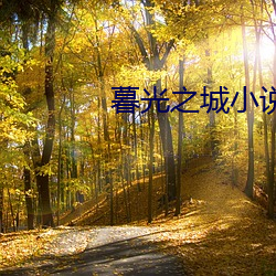 暮光之城小说