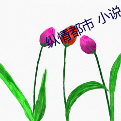 纵情都(都)市 小(小)说